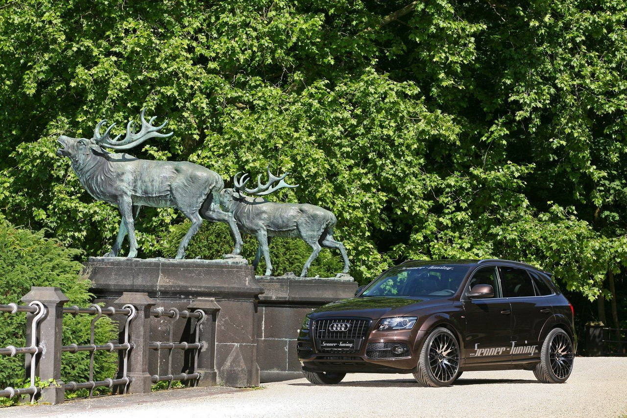 Audi Q5 от Senner